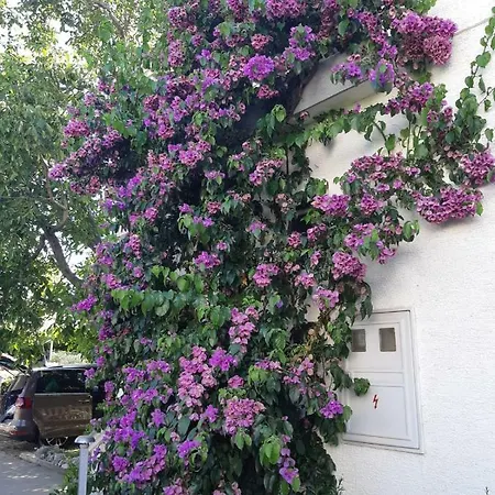 Ulica Blata 48 Ferienwohnung * Vodice